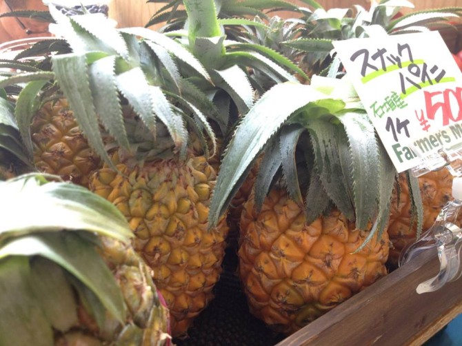 11512_532078350191890_1802468724_n