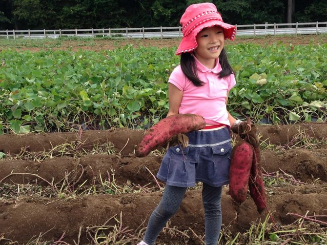 1377979_574604339272624_1534448637_n