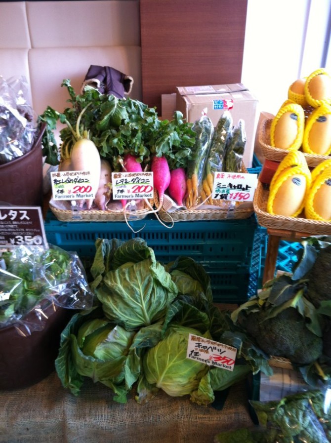 482231_482828015116924_962881637_n