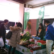 532329_433674620032264_622137538_n