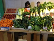 857330_473782782688114_1514881345_o