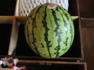 969232_518110188255373_1263047886_n