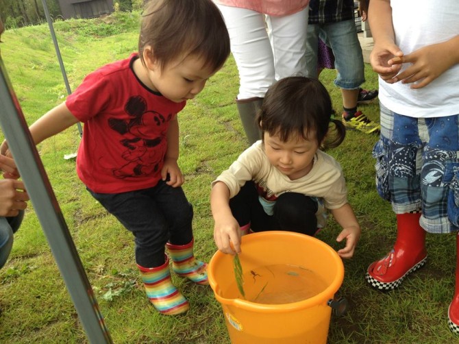 996159_526253297441062_1236067827_n