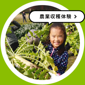 農業収穫体験