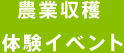 農業収穫体験イベント