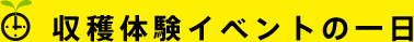収穫体験イベントの一日