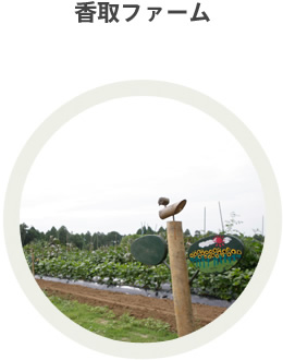 香取ファーム