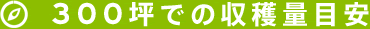 300坪での収穫量目安
