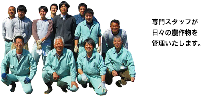 専門スタッフが日々の農作物を管理いたします。